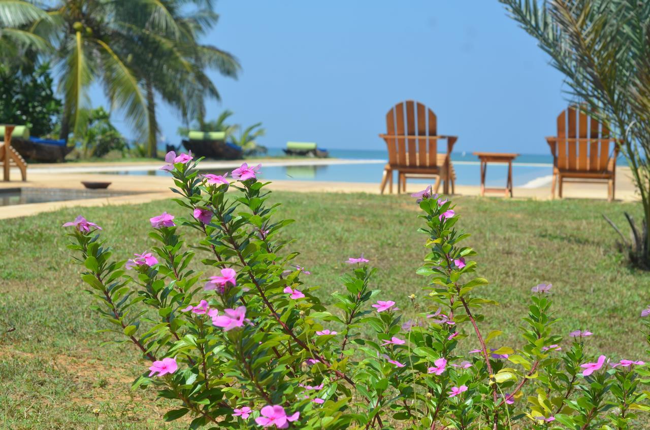 Bar Reef Resort Etalai Luaran gambar
